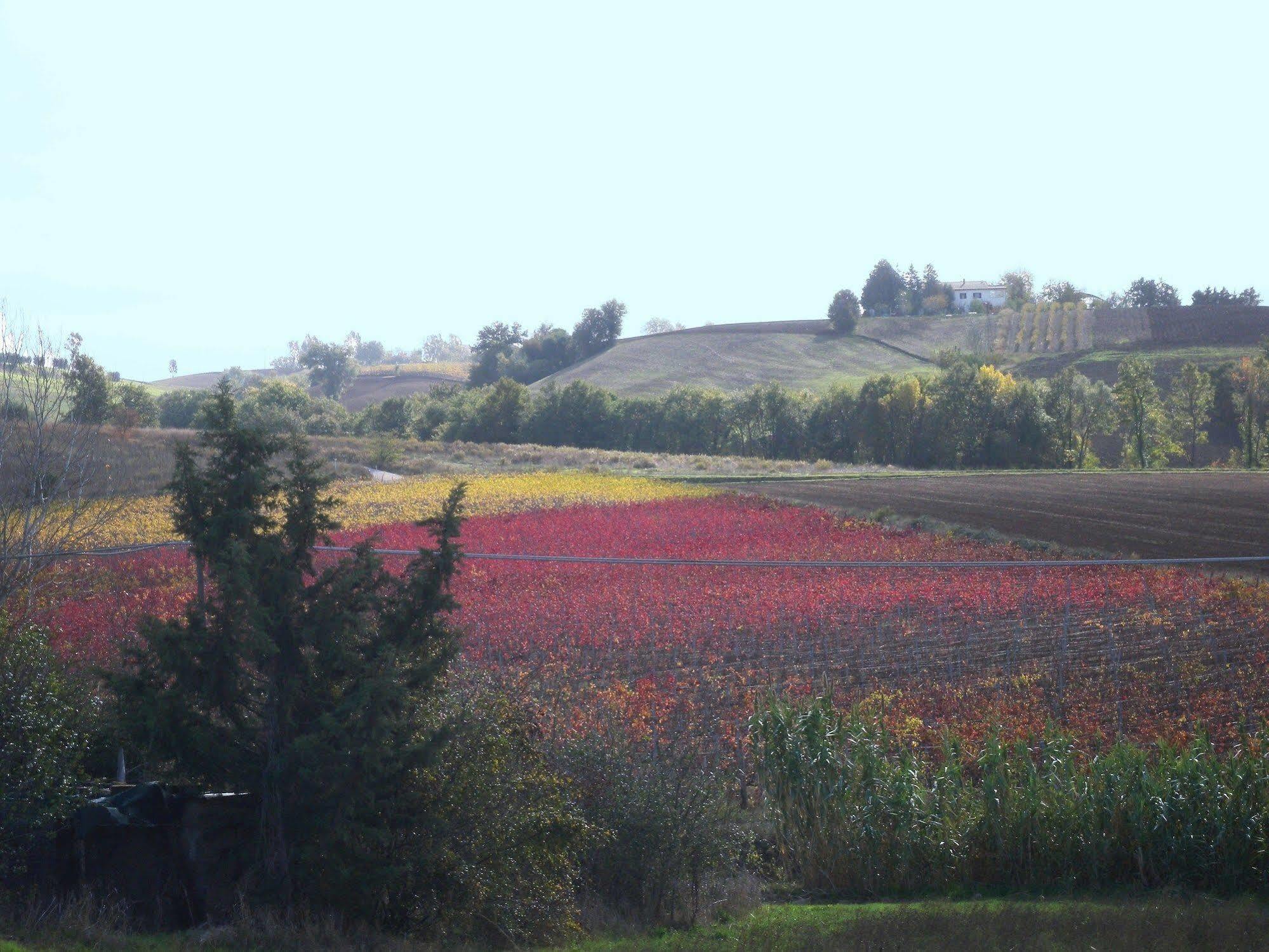 Almatoscana Campagnatico Esterno foto